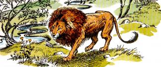 Aslan’s Song of Stewardship